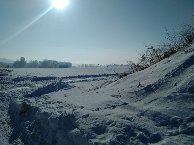 img_20170123_1345025[1]