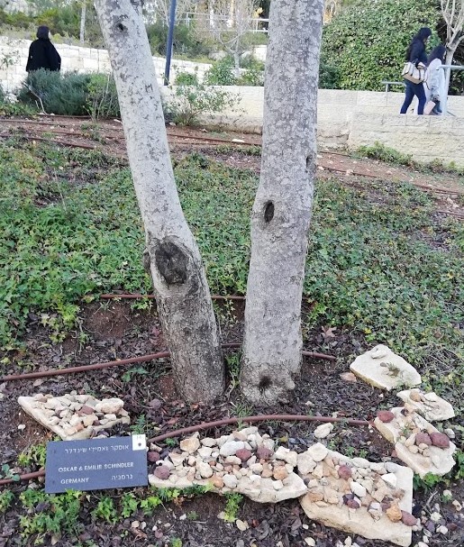 IMG_20181211_160651[1]